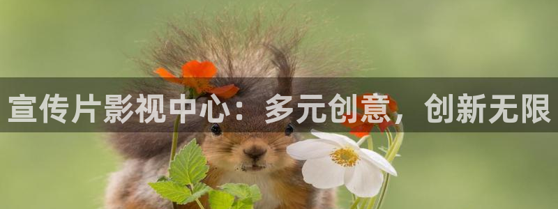 神马午夜超神第九达达兔不卡